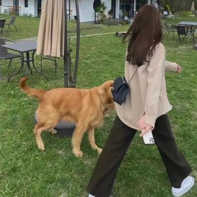 第七大陆